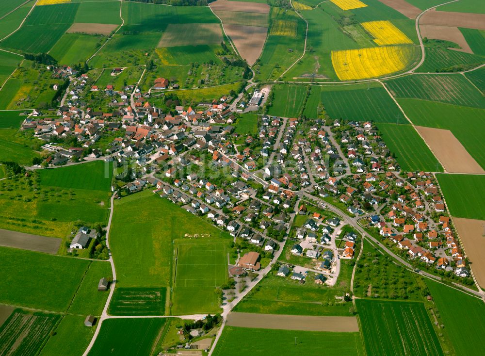 Langenau aus der Vogelperspektive: Dorfkern am Feldrand in Langenau im Bundesland Baden-Württemberg, Deutschland