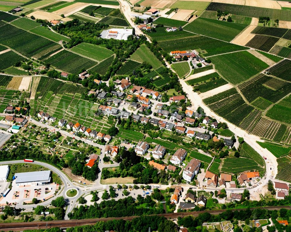 Lauffen am Neckar von oben - Dorfkern am Feldrand in Lauffen am Neckar im Bundesland Baden-Württemberg, Deutschland