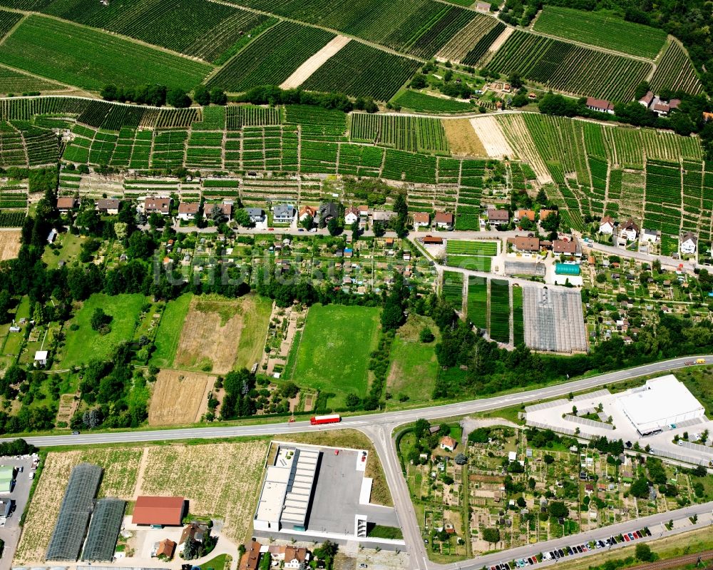 Luftbild Lauffen am Neckar - Dorfkern am Feldrand in Lauffen am Neckar im Bundesland Baden-Württemberg, Deutschland