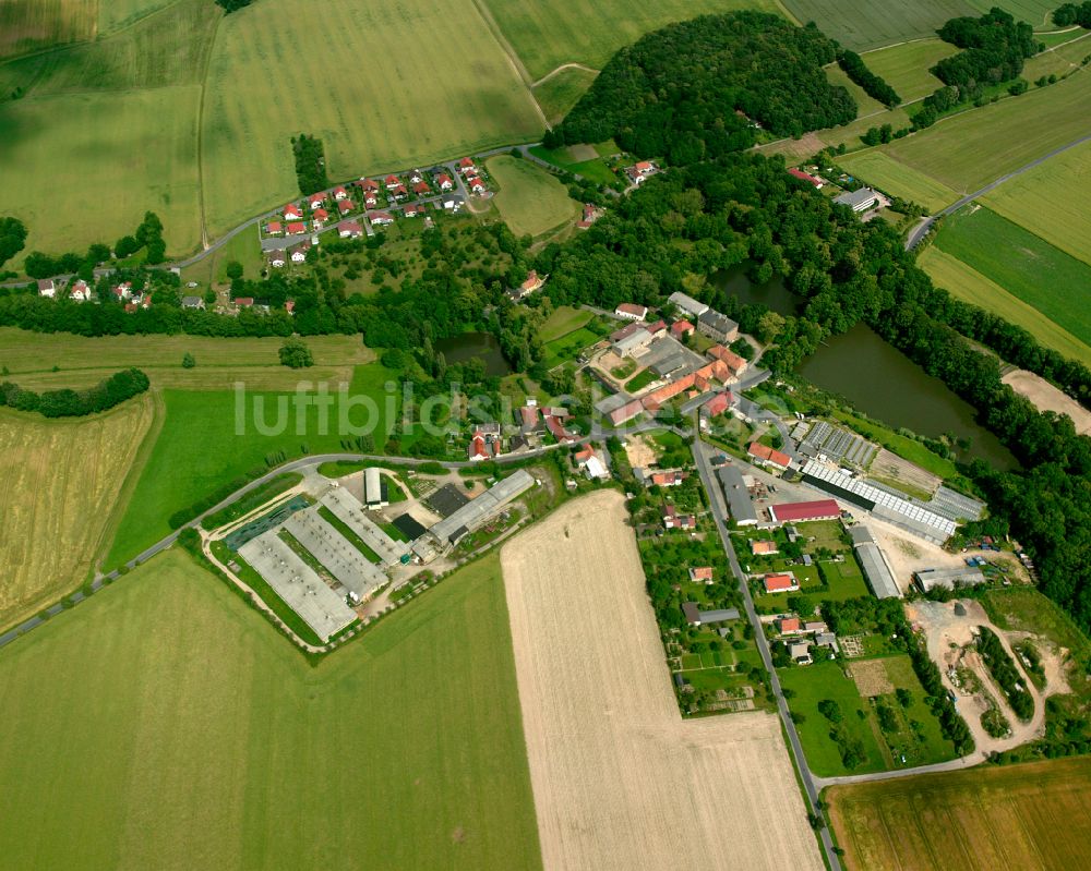 Luftbild Lauterbach - Dorfkern am Feldrand in Lauterbach im Bundesland Sachsen, Deutschland