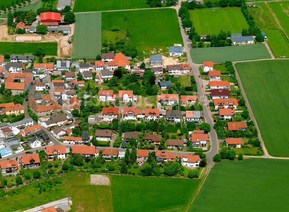 Lautersheim aus der Vogelperspektive: Dorfkern am Feldrand in Lautersheim im Bundesland Rheinland-Pfalz, Deutschland