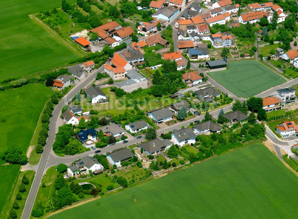 Lautersheim von oben - Dorfkern am Feldrand in Lautersheim im Bundesland Rheinland-Pfalz, Deutschland