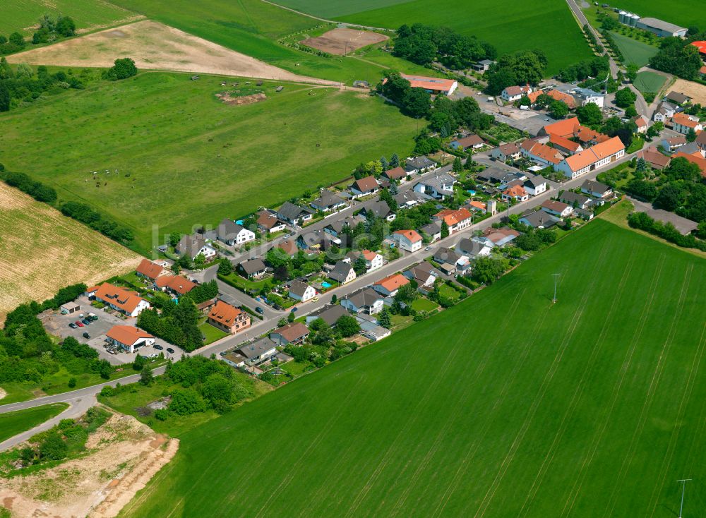 Lautersheim aus der Vogelperspektive: Dorfkern am Feldrand in Lautersheim im Bundesland Rheinland-Pfalz, Deutschland