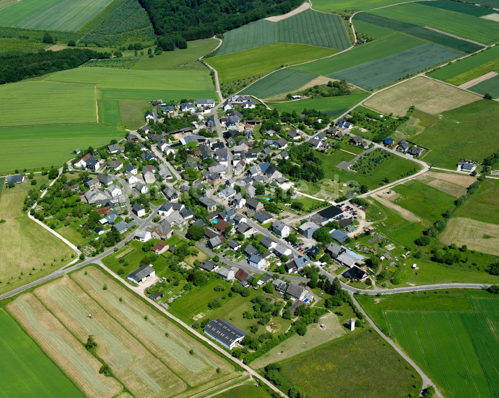 Luftaufnahme Leideneck - Dorfkern am Feldrand in Leideneck im Bundesland Rheinland-Pfalz, Deutschland