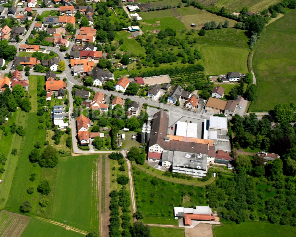 Leutesheim von oben - Dorfkern am Feldrand in Leutesheim im Bundesland Baden-Württemberg, Deutschland