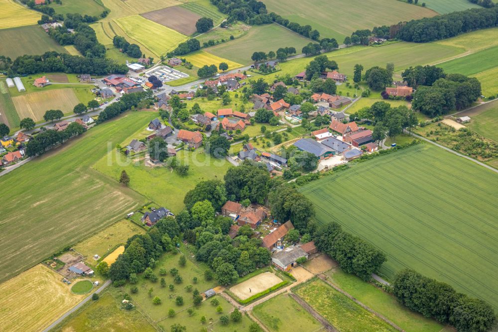 Luftbild Lochtrup - Dorfkern am Feldrand in Lochtrup im Bundesland Nordrhein-Westfalen, Deutschland