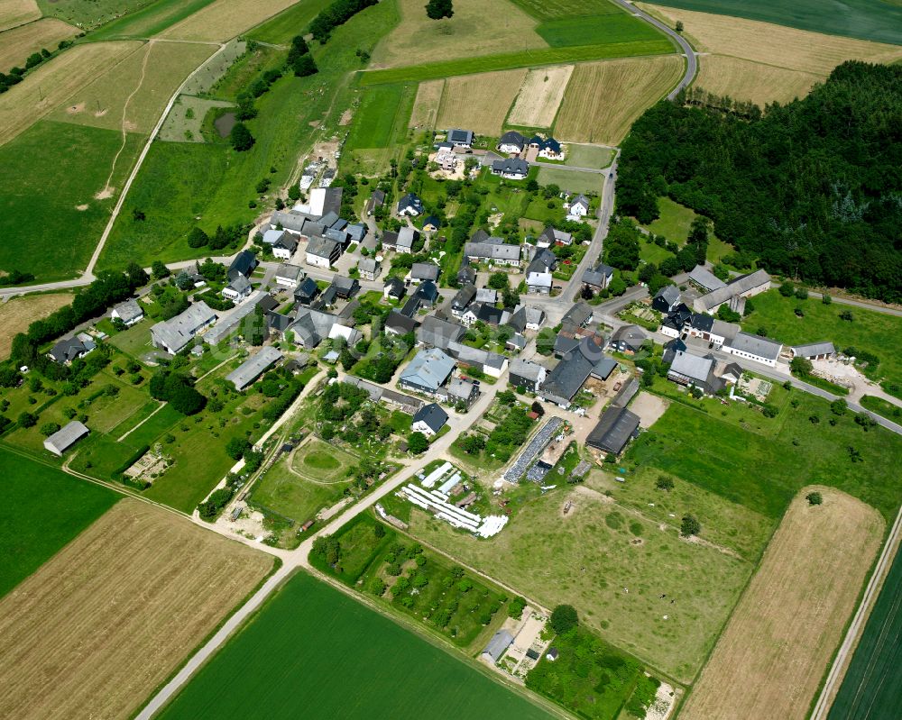 Luftbild Maitzborn - Dorfkern am Feldrand in Maitzborn im Bundesland Rheinland-Pfalz, Deutschland