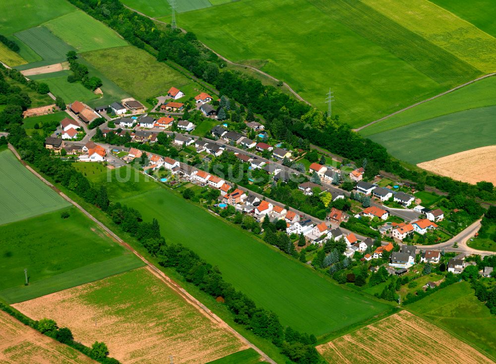 Marnheim aus der Vogelperspektive: Dorfkern am Feldrand in Marnheim im Bundesland Rheinland-Pfalz, Deutschland