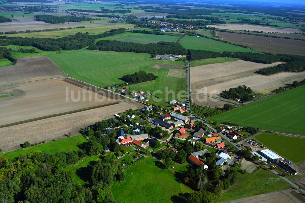 Luftaufnahme Maxdorf - Dorfkern am Feldrand in Maxdorf im Bundesland Sachsen-Anhalt, Deutschland