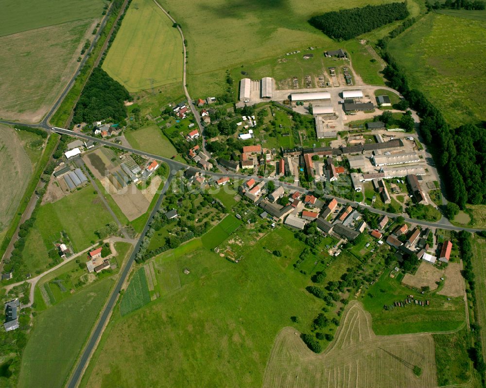 Medessen aus der Vogelperspektive: Dorfkern am Feldrand in Medessen im Bundesland Sachsen, Deutschland