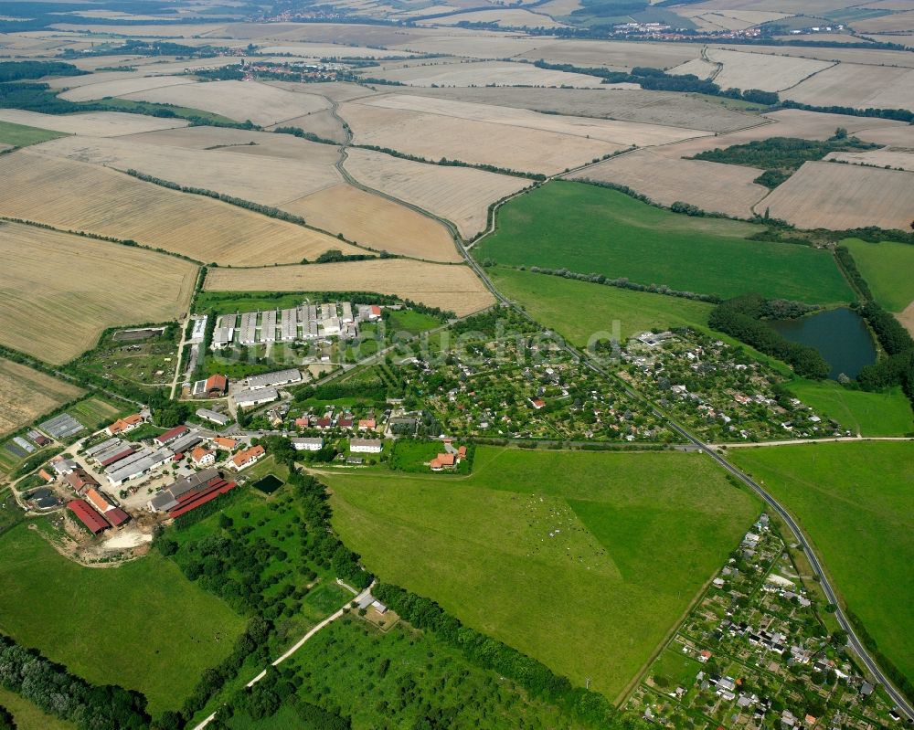 Mühlhausen/Thüringen aus der Vogelperspektive: Dorfkern am Feldrand in Mühlhausen im Bundesland Thüringen, Deutschland