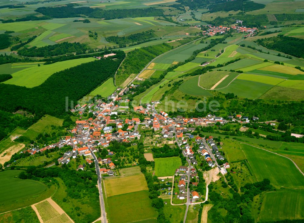 Münsterappel aus der Vogelperspektive: Dorfkern am Feldrand in Münsterappel im Bundesland Rheinland-Pfalz, Deutschland