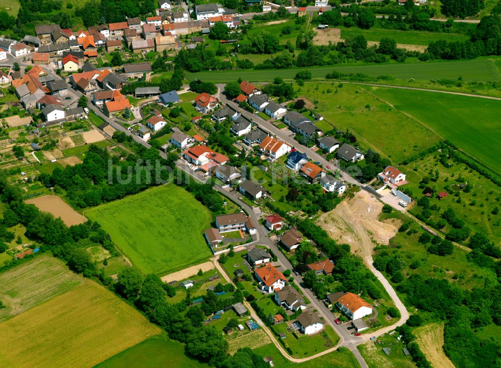 Luftbild Münsterappel - Dorfkern am Feldrand in Münsterappel im Bundesland Rheinland-Pfalz, Deutschland