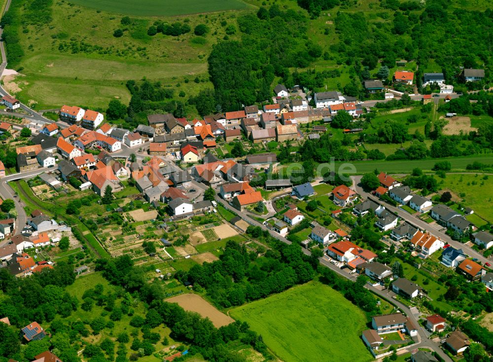 Luftaufnahme Münsterappel - Dorfkern am Feldrand in Münsterappel im Bundesland Rheinland-Pfalz, Deutschland