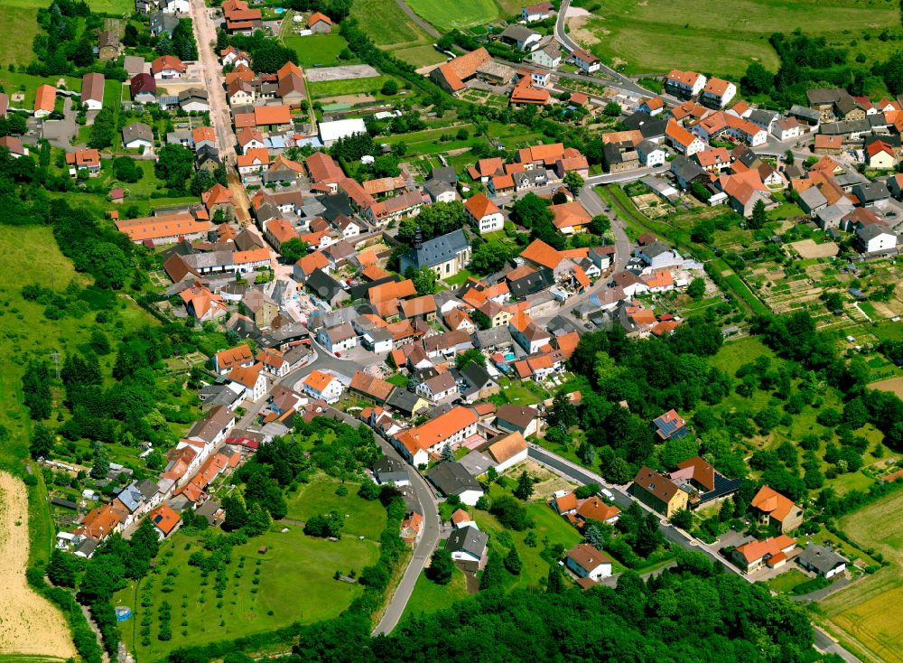 Münsterappel von oben - Dorfkern am Feldrand in Münsterappel im Bundesland Rheinland-Pfalz, Deutschland