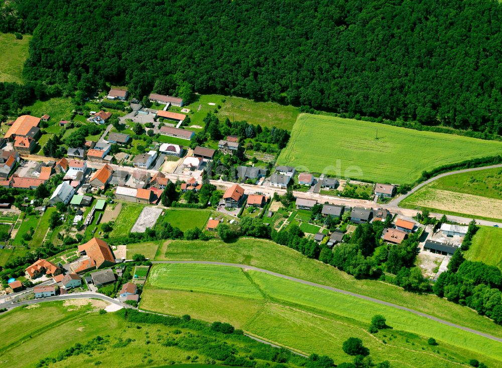 Münsterappel aus der Vogelperspektive: Dorfkern am Feldrand in Münsterappel im Bundesland Rheinland-Pfalz, Deutschland