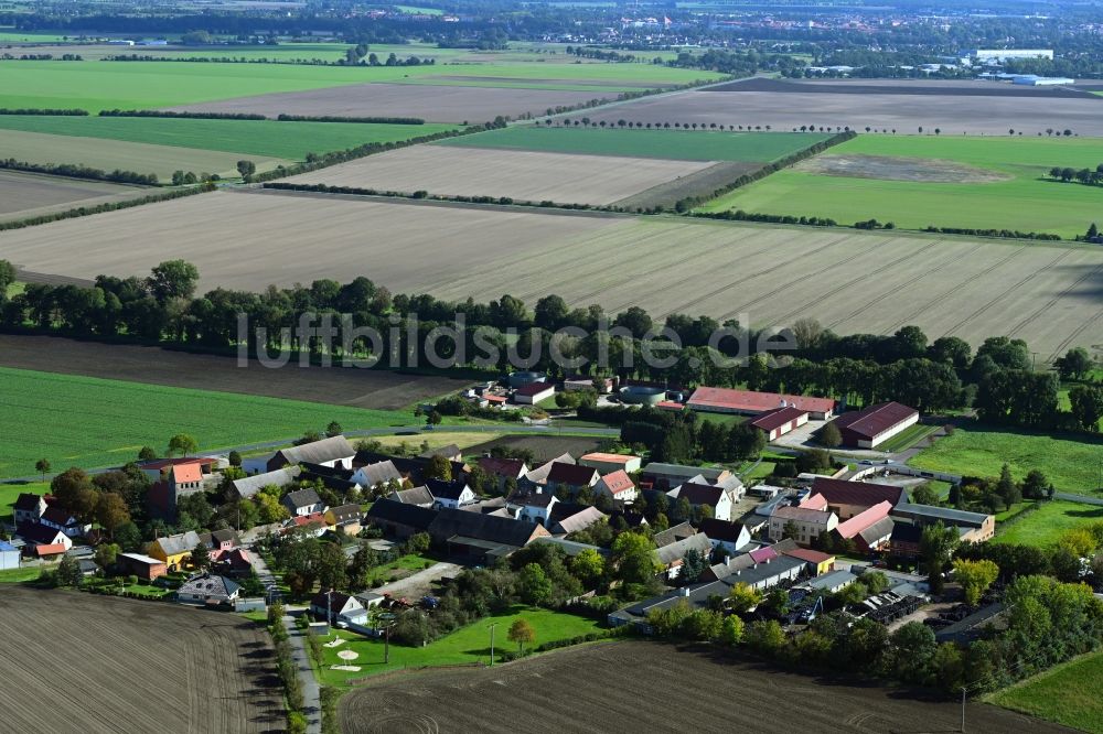 Moritz aus der Vogelperspektive: Dorfkern am Feldrand in Moritz im Bundesland Sachsen-Anhalt, Deutschland