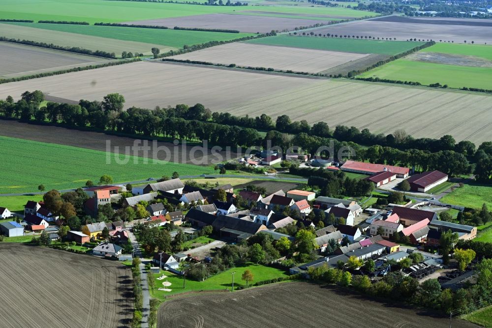 Luftbild Moritz - Dorfkern am Feldrand in Moritz im Bundesland Sachsen-Anhalt, Deutschland