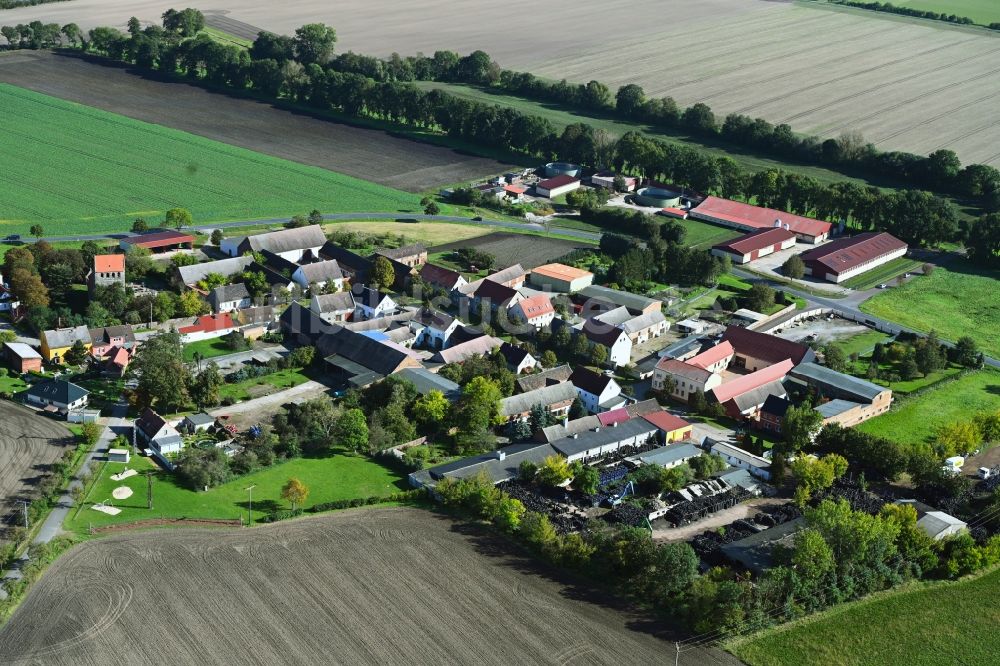 Luftaufnahme Moritz - Dorfkern am Feldrand in Moritz im Bundesland Sachsen-Anhalt, Deutschland