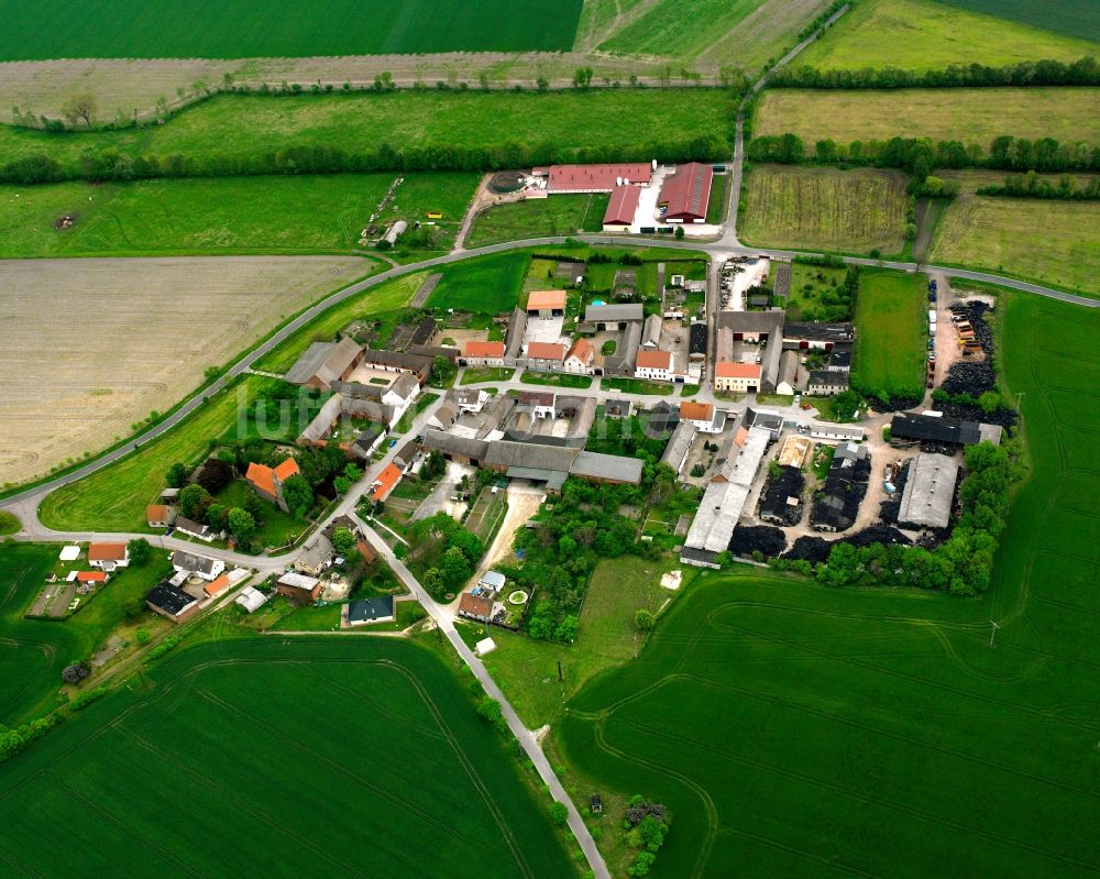 Moritz von oben - Dorfkern am Feldrand in Moritz im Bundesland Sachsen-Anhalt, Deutschland