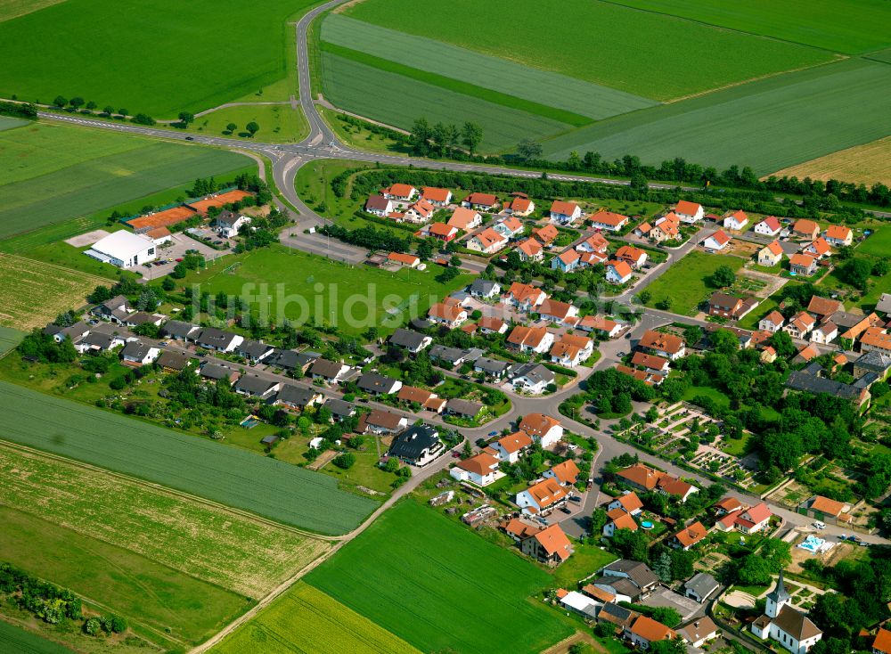 Luftaufnahme Morschheim - Dorfkern am Feldrand in Morschheim im Bundesland Rheinland-Pfalz, Deutschland