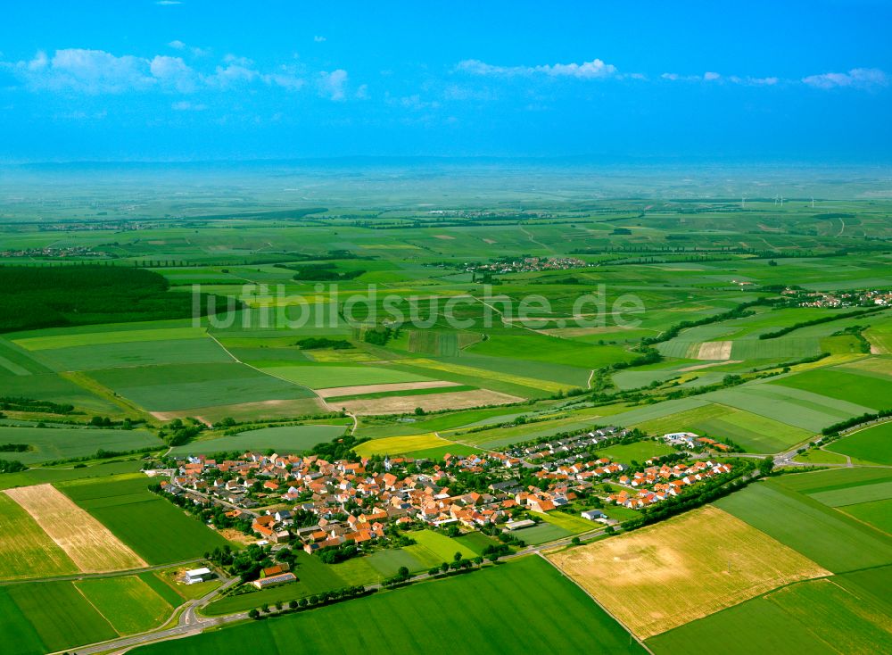 Morschheim von oben - Dorfkern am Feldrand in Morschheim im Bundesland Rheinland-Pfalz, Deutschland