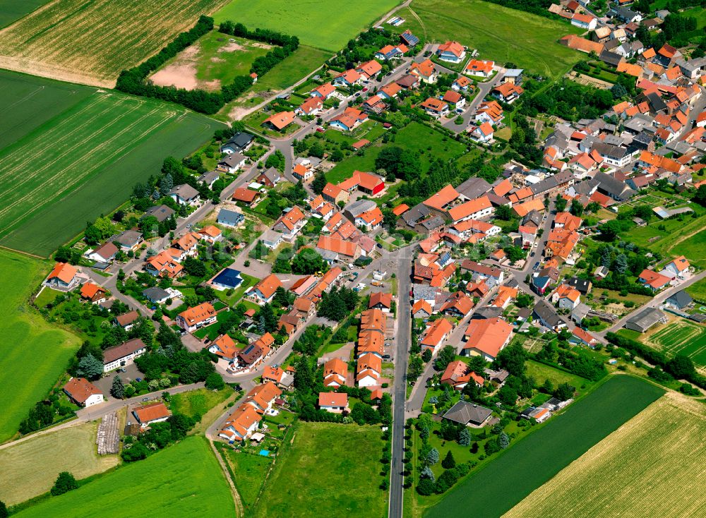 Mörsfeld aus der Vogelperspektive: Dorfkern am Feldrand in Mörsfeld im Bundesland Rheinland-Pfalz, Deutschland