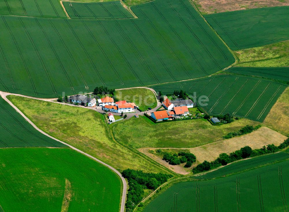 Mörsfeld von oben - Dorfkern am Feldrand in Mörsfeld im Bundesland Rheinland-Pfalz, Deutschland