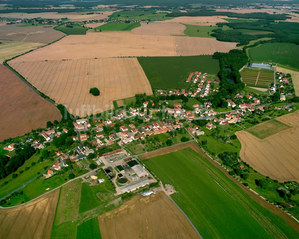 Luftaufnahme Naunhof - Dorfkern am Feldrand in Naunhof im Bundesland Sachsen, Deutschland