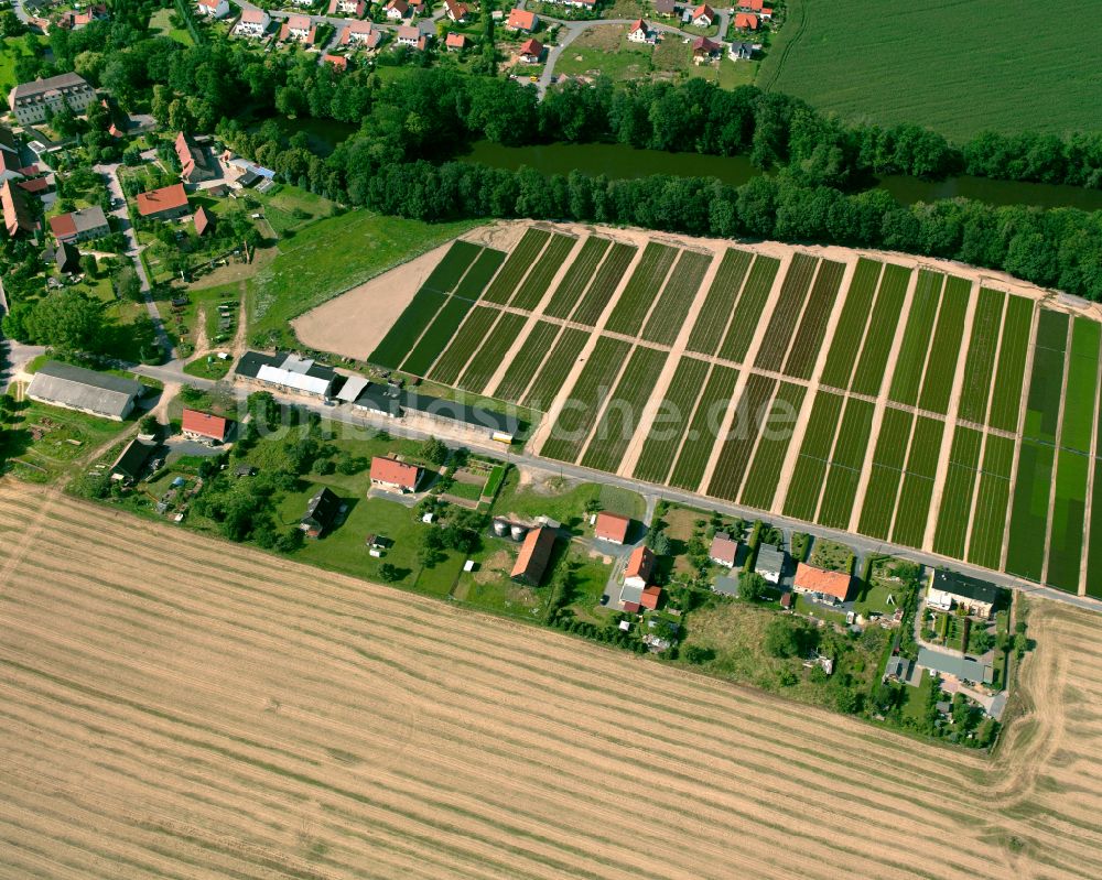 Naunhof von oben - Dorfkern am Feldrand in Naunhof im Bundesland Sachsen, Deutschland