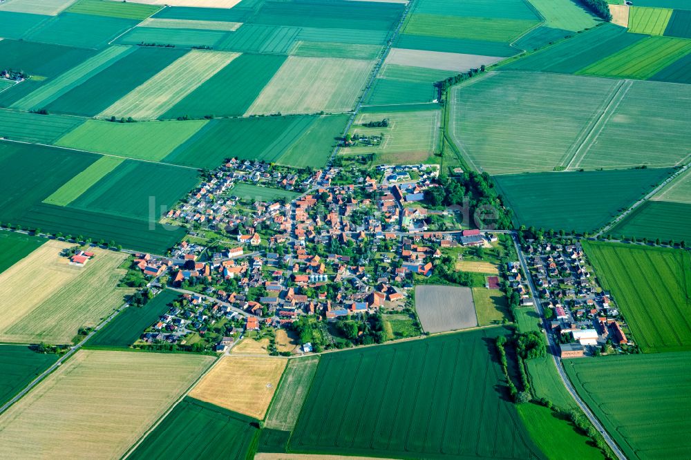 Söhlde aus der Vogelperspektive: Dorfkern am Feldrand Nettlingen in Söhlde im Bundesland Niedersachsen, Deutschland