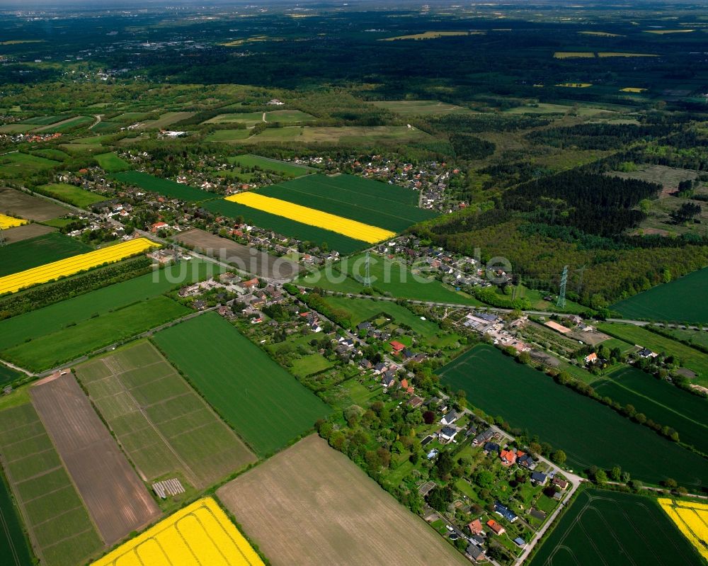 Luftbild Neu-Börnsen - Dorfkern am Feldrand in Neu-Börnsen im Bundesland Schleswig-Holstein, Deutschland