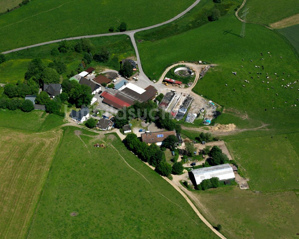 Neuenhaus aus der Vogelperspektive: Dorfkern am Feldrand in Neuenhaus im Bundesland Nordrhein-Westfalen, Deutschland