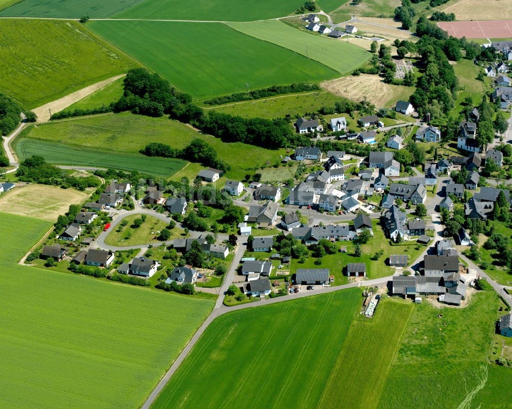 Luftaufnahme Neuerkirch - Dorfkern am Feldrand in Neuerkirch im Bundesland Rheinland-Pfalz, Deutschland