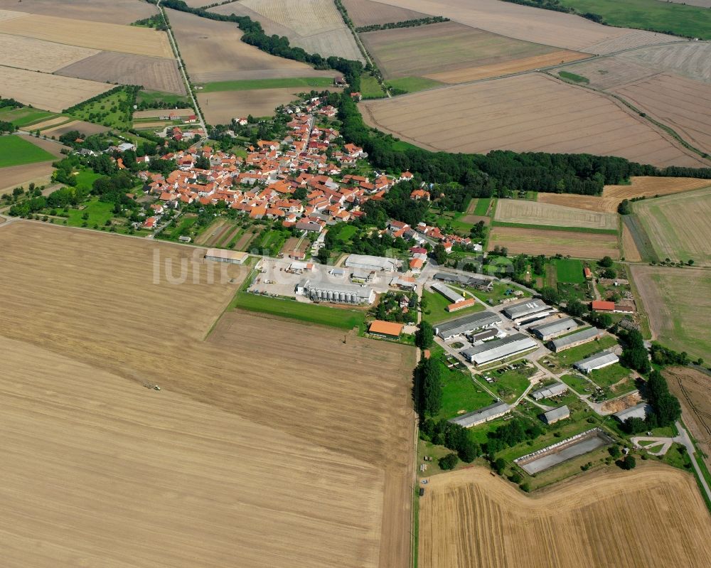 Neunheilingen von oben - Dorfkern am Feldrand in Neunheilingen im Bundesland Thüringen, Deutschland