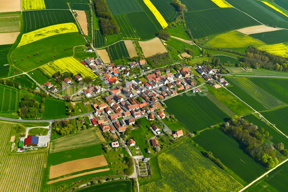 Neusetz Aus Der Vogelperspektive Dorfkern Am Feldrand In Neusetz Im