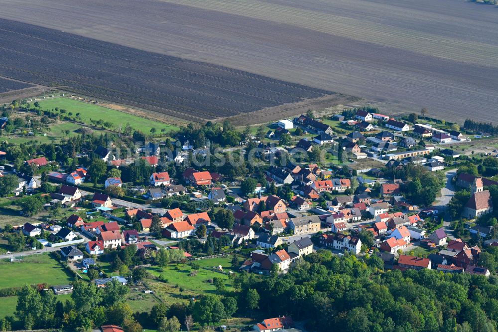 Neuwegersleben aus der Vogelperspektive: Dorfkern am Feldrand in Neuwegersleben im Bundesland Sachsen-Anhalt, Deutschland