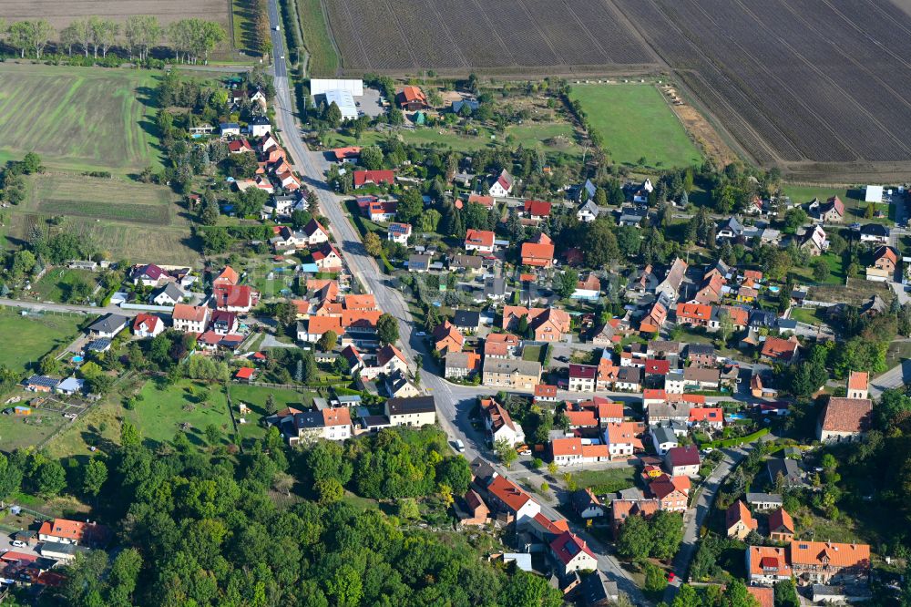 Luftbild Neuwegersleben - Dorfkern am Feldrand in Neuwegersleben im Bundesland Sachsen-Anhalt, Deutschland