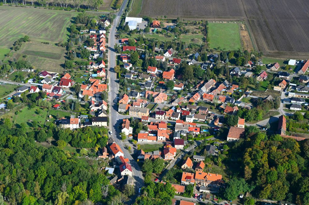 Luftaufnahme Neuwegersleben - Dorfkern am Feldrand in Neuwegersleben im Bundesland Sachsen-Anhalt, Deutschland