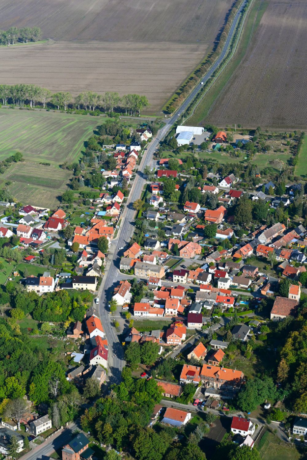 Neuwegersleben von oben - Dorfkern am Feldrand in Neuwegersleben im Bundesland Sachsen-Anhalt, Deutschland