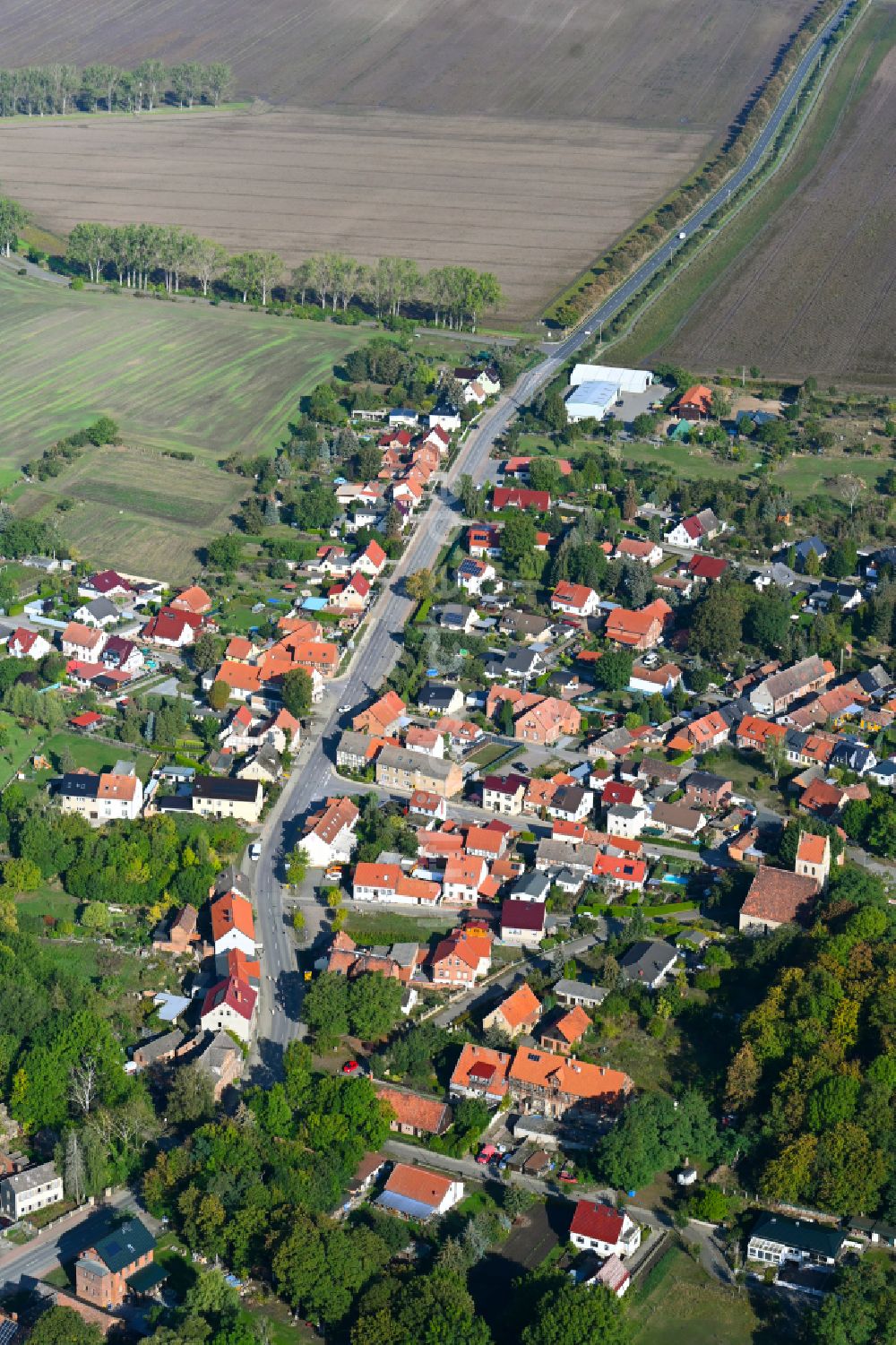 Neuwegersleben aus der Vogelperspektive: Dorfkern am Feldrand in Neuwegersleben im Bundesland Sachsen-Anhalt, Deutschland