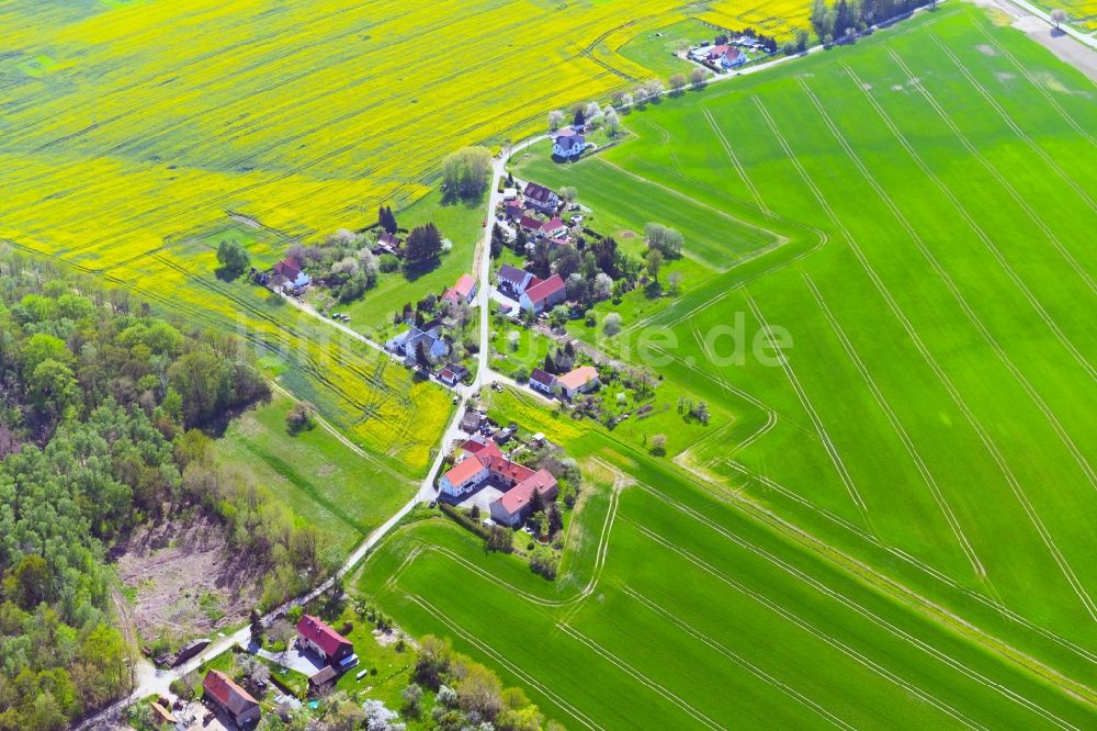 Luftbild Neuwuischke - Dorfkern am Feldrand in Neuwuischke im Bundesland Sachsen, Deutschland