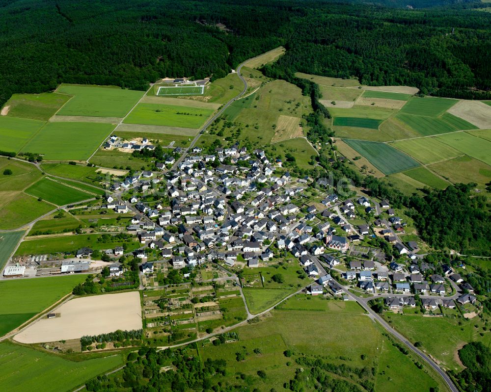 Luftaufnahme Niederburg - Dorfkern am Feldrand in Niederburg im Bundesland Rheinland-Pfalz, Deutschland