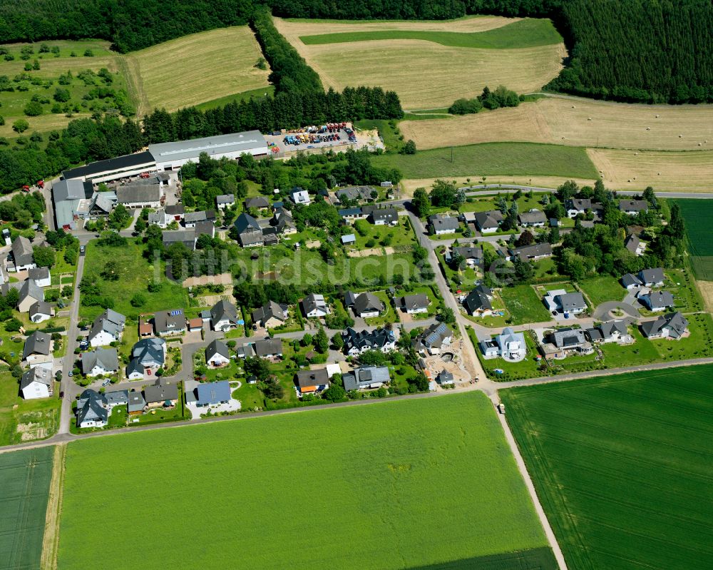 Luftaufnahme Niederkumbd - Dorfkern am Feldrand in Niederkumbd im Bundesland Rheinland-Pfalz, Deutschland