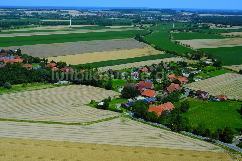 Niedernholz aus der Vogelperspektive: Dorfkern am Feldrand in Niedernholz im Bundesland Niedersachsen, Deutschland