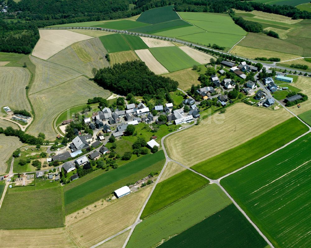 Luftbild Niedert - Dorfkern am Feldrand in Niedert im Bundesland Rheinland-Pfalz, Deutschland