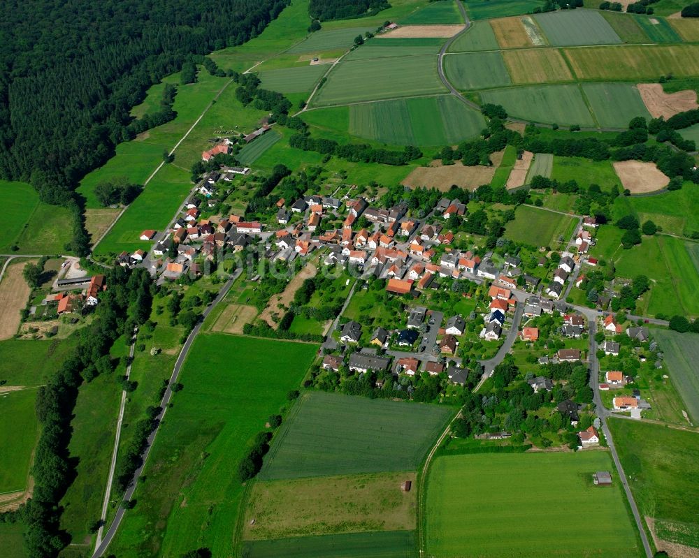 Nienhagen aus der Vogelperspektive: Dorfkern am Feldrand in Nienhagen im Bundesland Niedersachsen, Deutschland