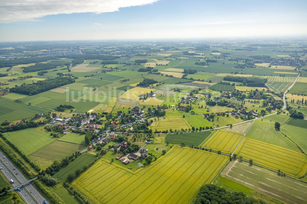 Norddinker aus der Vogelperspektive: Dorfkern am Feldrand in Norddinker im Bundesland Nordrhein-Westfalen, Deutschland