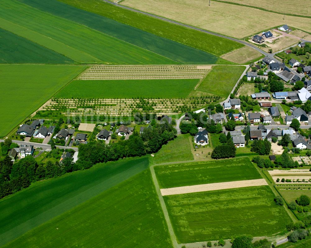 Ober Kostenz von oben - Dorfkern am Feldrand in Ober Kostenz im Bundesland Rheinland-Pfalz, Deutschland