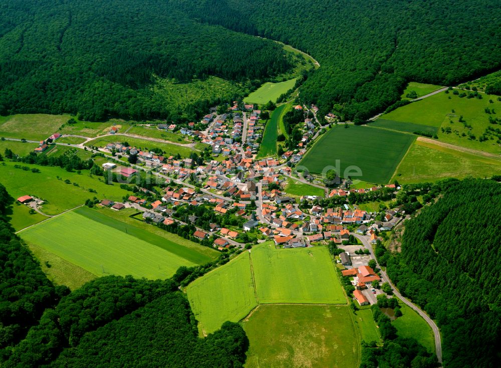 Oberwiesen aus der Vogelperspektive: Dorfkern am Feldrand in Oberwiesen im Bundesland Rheinland-Pfalz, Deutschland